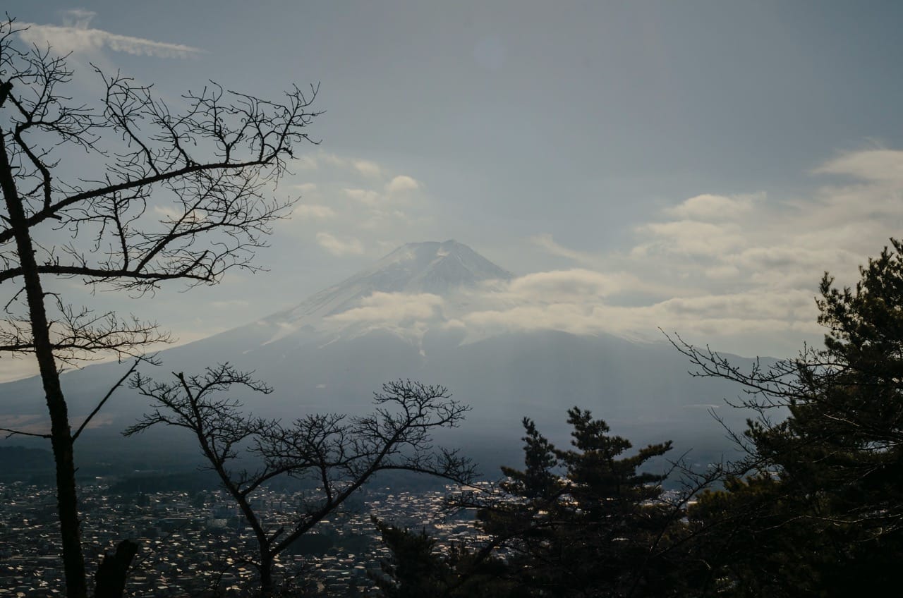 Превью Fuji 2024